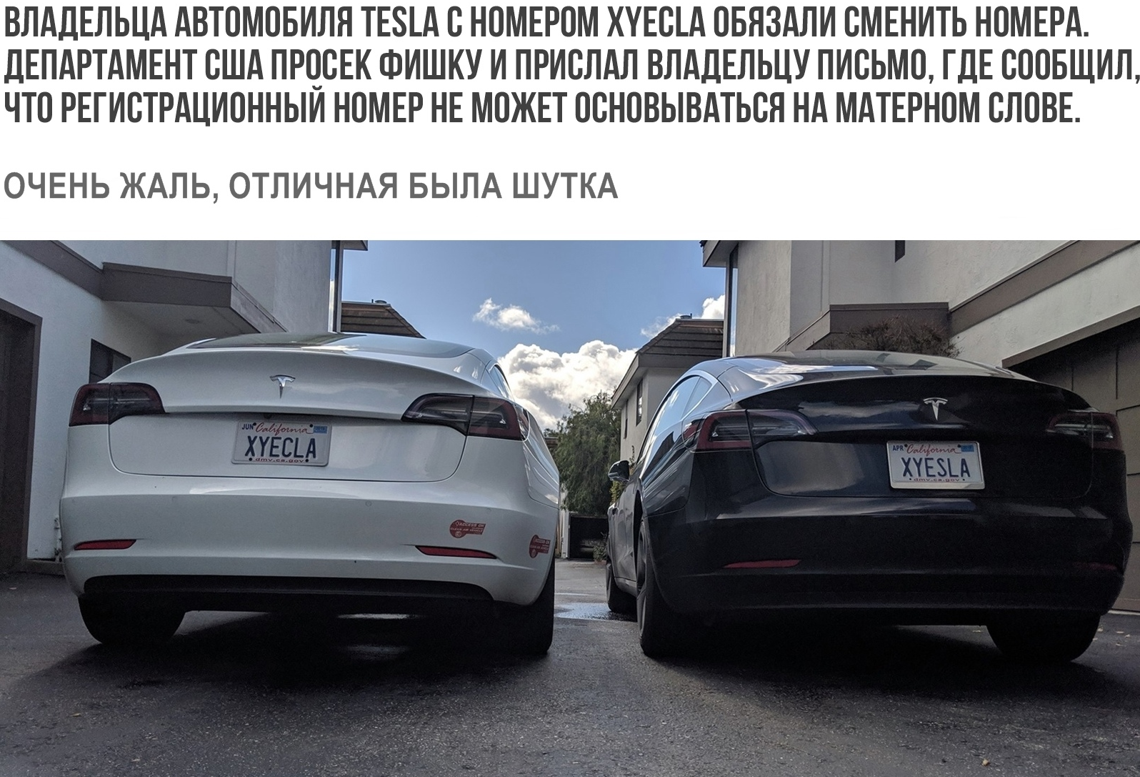 New Tesla-Xyecla. - Tesla, Elon Musk, Number, Wordplay