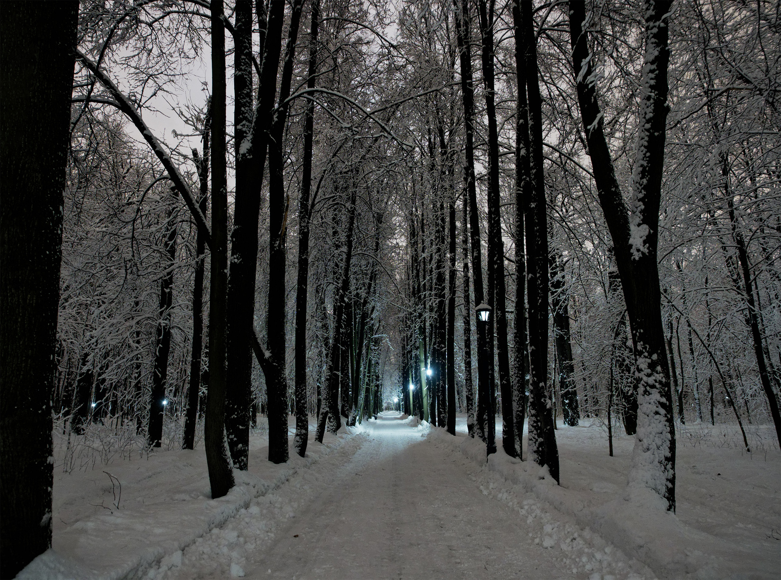 останкинский парк зимой