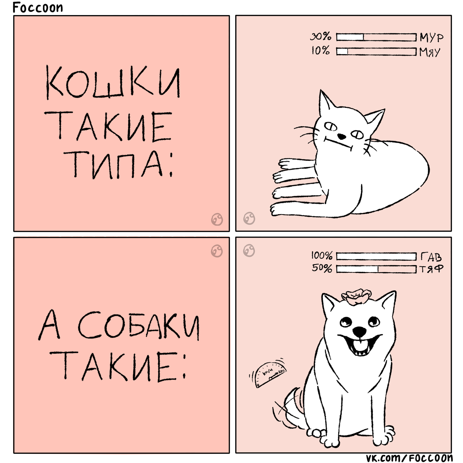 Cats/dogs - My, Foccoon, cat, Dog, Cats and dogs together, Comics, Milota, Animals