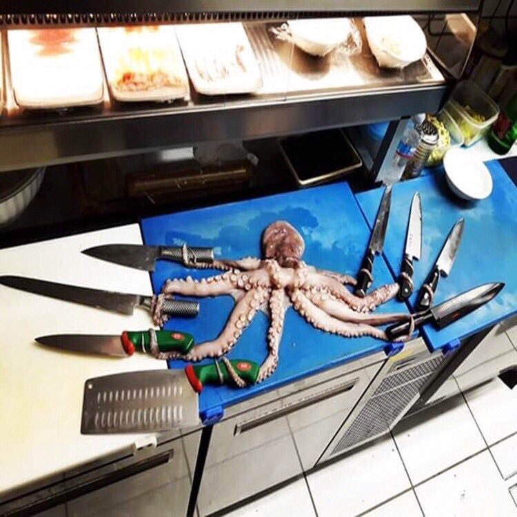 Armed and very dangerous! - Octopus, Kitchen, Knife, The photo, 