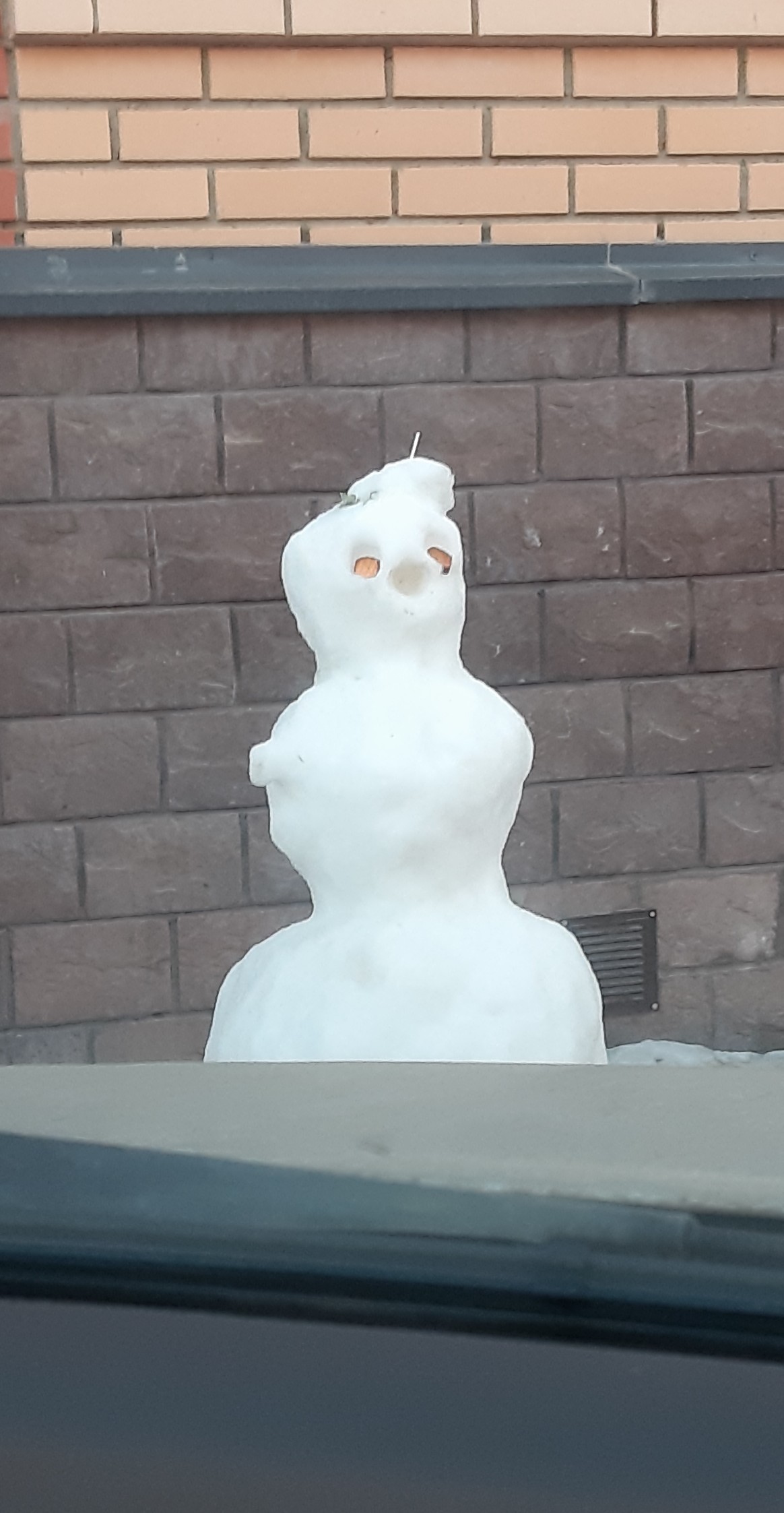 Screaming Snowman - My, snowman, Don't yell, Longpost