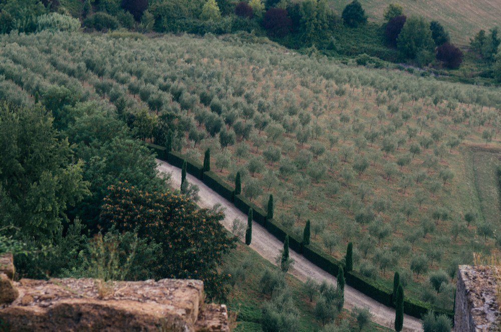 Umbria. - My, Italy, Umbria, Orvieto, Wine, Longpost