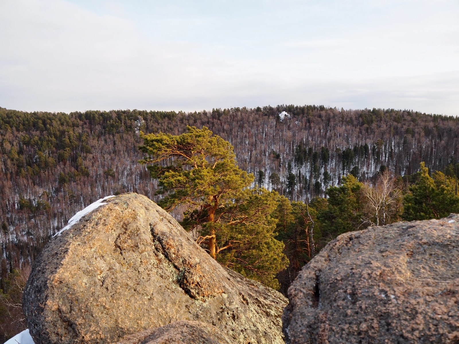 Sunday walk to Stolby. Feathers, taiga and rock bonsai (?). - My, The photo, Krasnoyarsk pillars, Nature, Taiga, The rocks, Feathers, Longpost