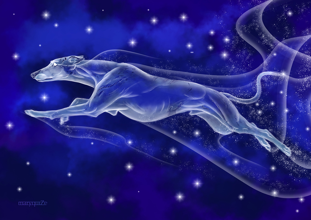 Expecto patronum! part 3. Dogs - My, Harry Potter, Fan art, Digital drawing, Magic, Portrait, Dog, Longpost