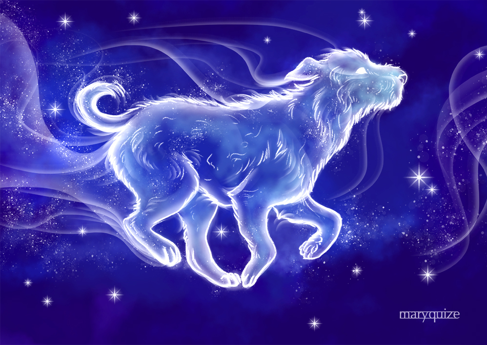 Expecto patronum! part 3. Dogs - My, Harry Potter, Fan art, Digital drawing, Magic, Portrait, Dog, Longpost