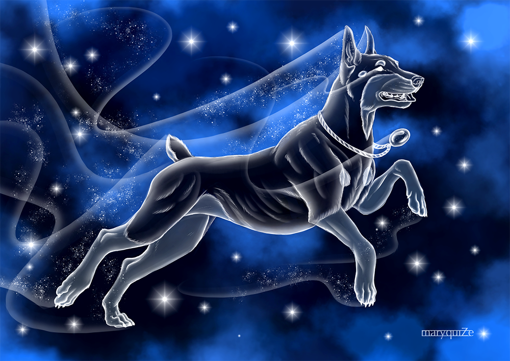 Expecto patronum! part 3. Dogs - My, Harry Potter, Fan art, Digital drawing, Magic, Portrait, Dog, Longpost