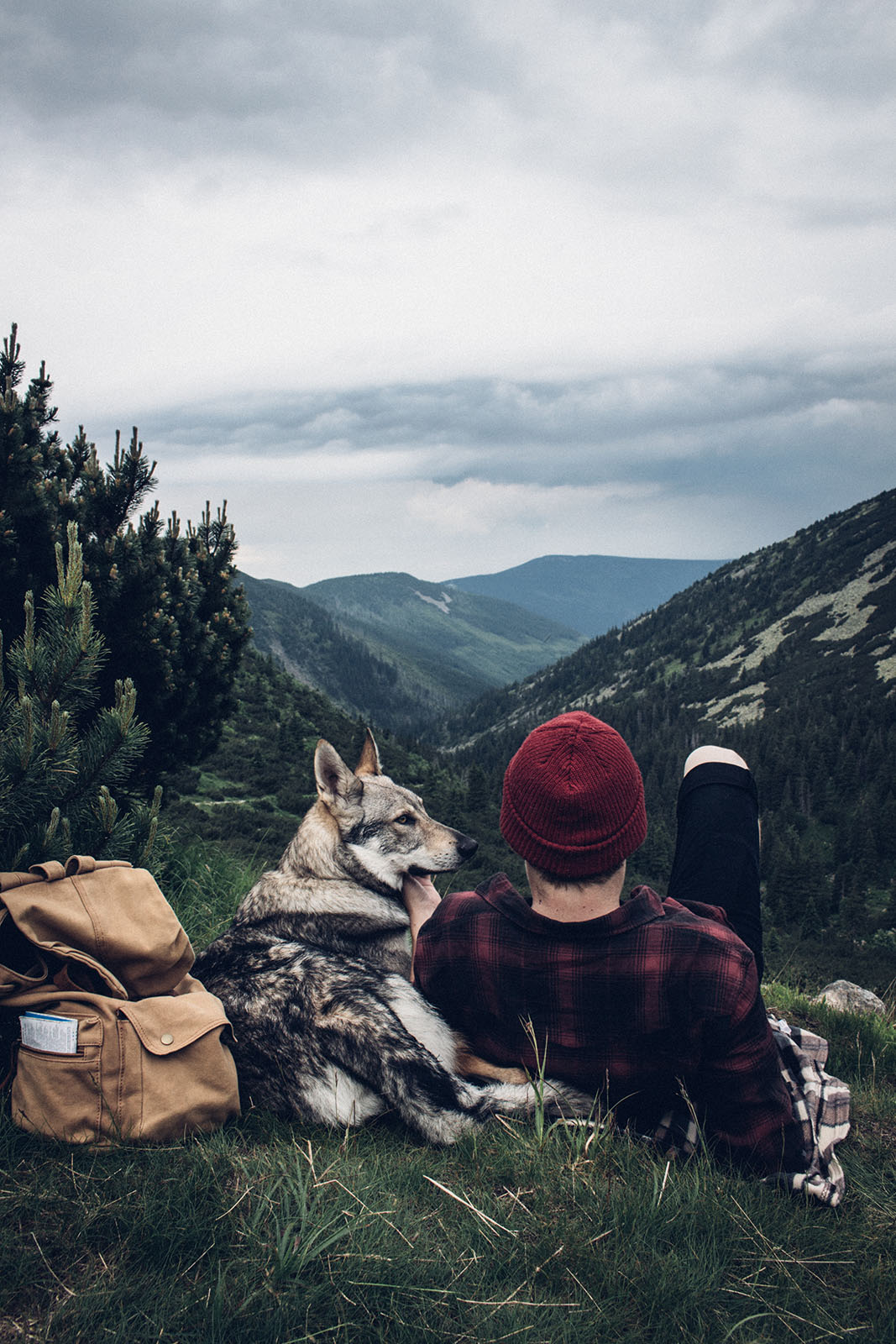 Следуй за псом - Собака, Волкособ, Instagram, Путешествия, Фотография, Длиннопост