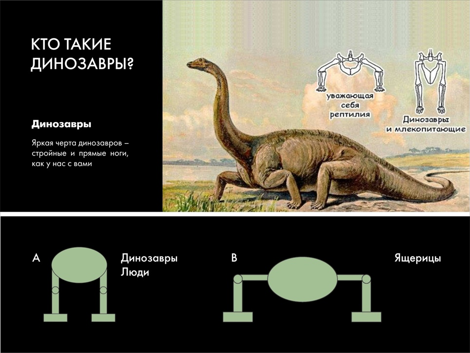 Paleontological Beasts and Where to Find Them: The Myths of the Omnipresent Dinosaurs. Part 1 - My, Paleontology, Dinosaurs, Pavel Skuchas, Anthropogenesis ru, Scientists against myths, Video, GIF, Longpost