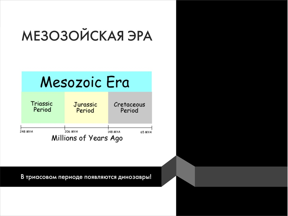 Paleontological Beasts and Where to Find Them: The Myths of the Omnipresent Dinosaurs. Part 1 - My, Paleontology, Dinosaurs, Pavel Skuchas, Anthropogenesis ru, Scientists against myths, Video, GIF, Longpost