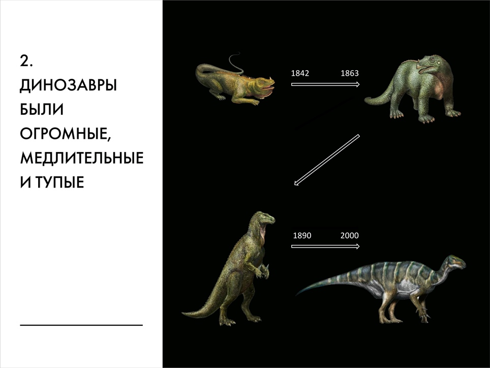 Paleontological Beasts and Where to Find Them: The Myths of the Omnipresent Dinosaurs. Part 1 - My, Paleontology, Dinosaurs, Pavel Skuchas, Anthropogenesis ru, Scientists against myths, Video, GIF, Longpost