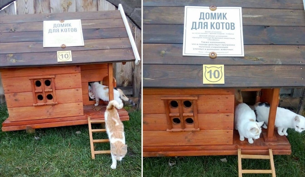 All have their own number and color. Kobrin volunteers built warm houses for cats - Kindness, Animals, cat, Volunteering, Help, Good deeds, Longpost, Helping animals