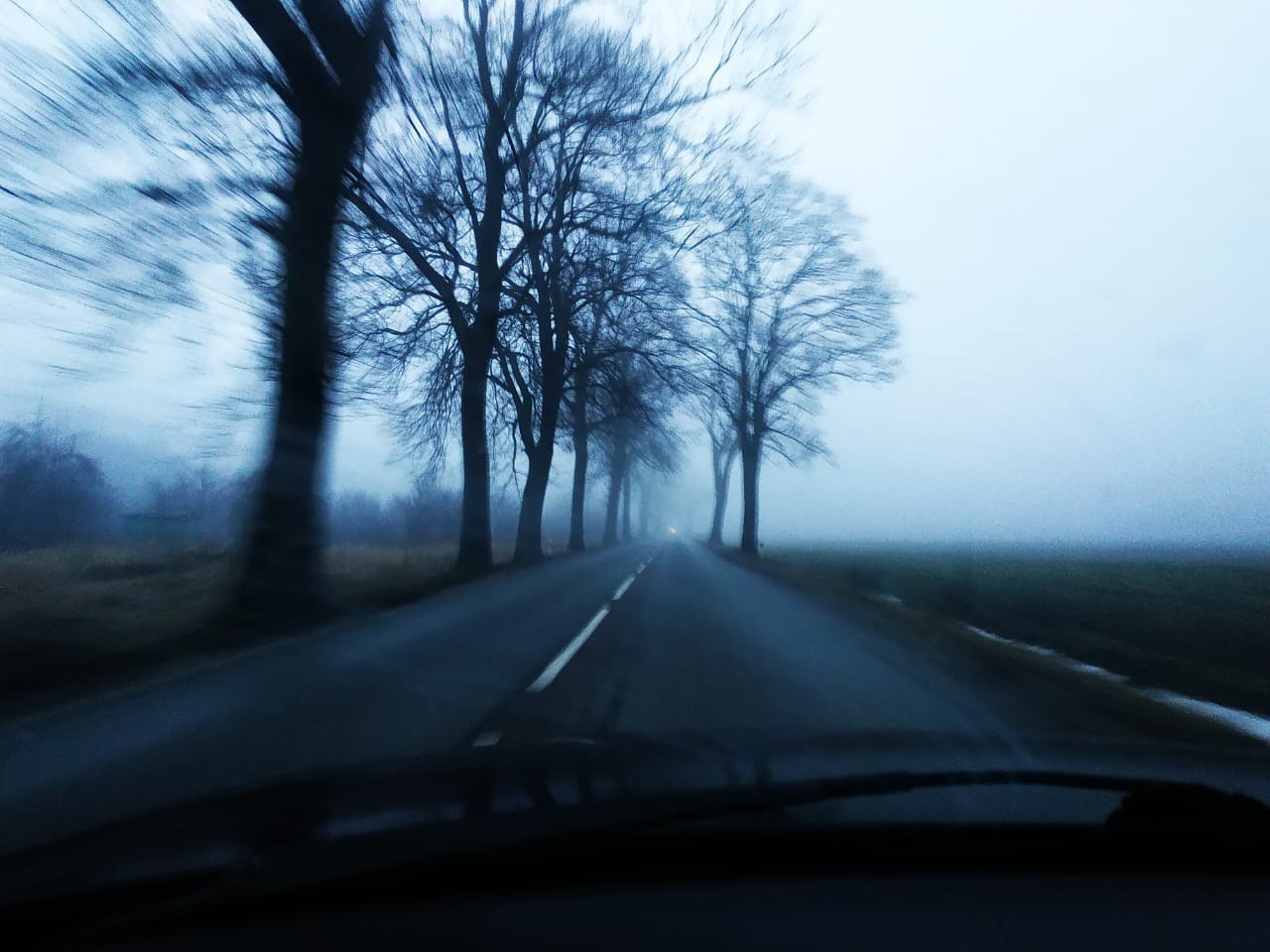 One foggy morning... - My, Morning, Road, Fog, The photo, Kaliningrad region, Kaliningrad