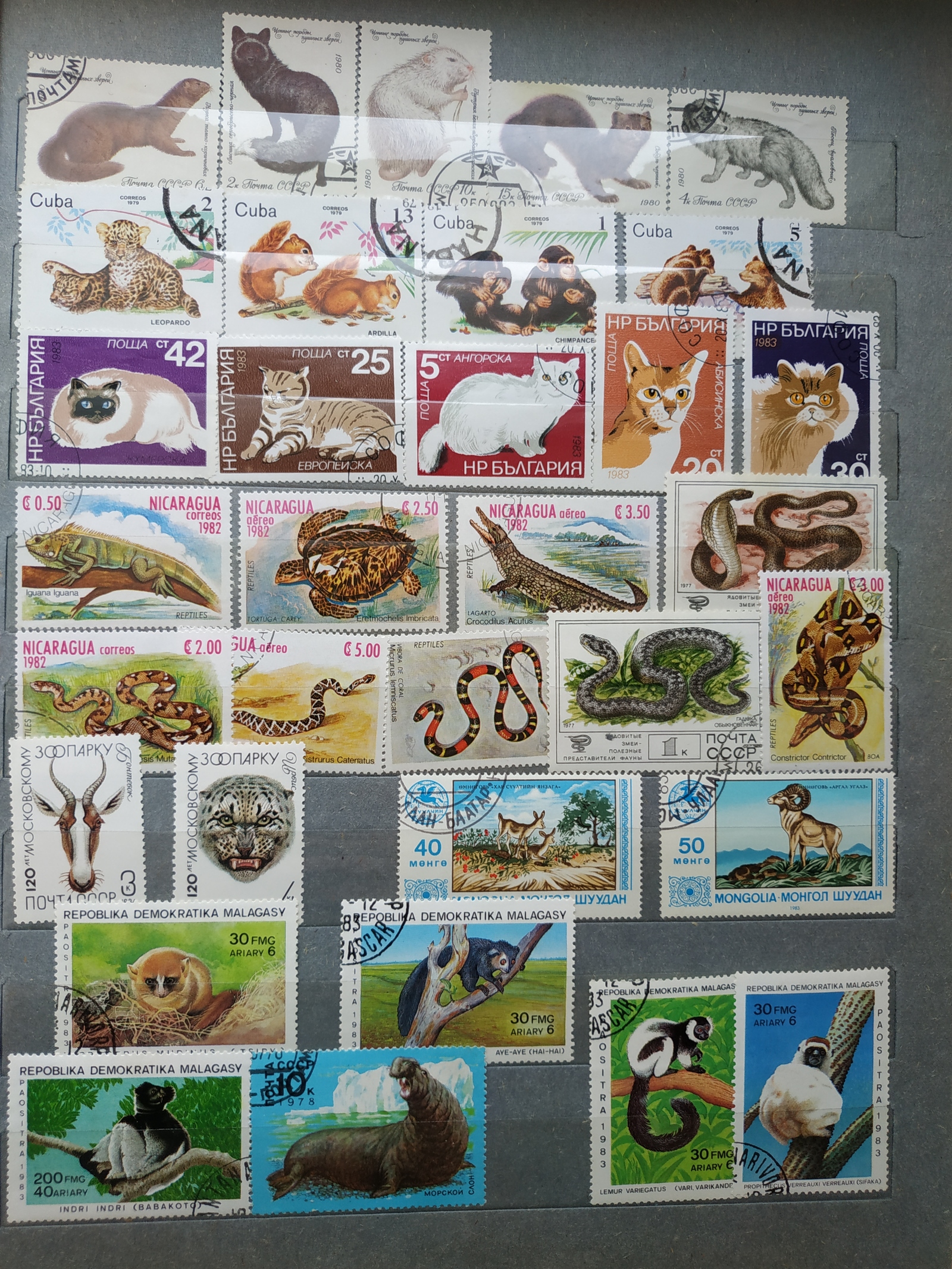 Stamps. - My, Stamps, Stamps, Grandmother, Football, Birds, Longpost