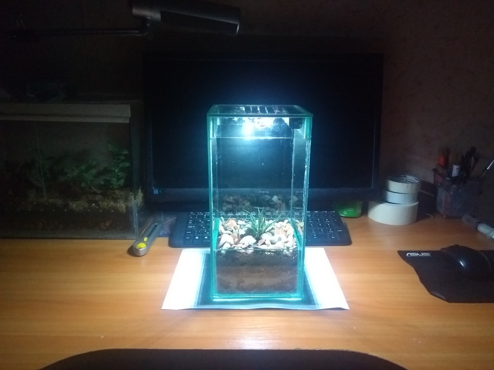 Almost the first florarium or non-spider post + video (timelapse). - My, Florarium, With your own hands, Terrarium, Succulents, Video, Longpost