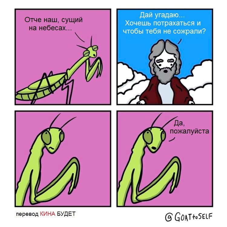 Mantis prayer... - Mantis, Prayer, Comics, Goattoself