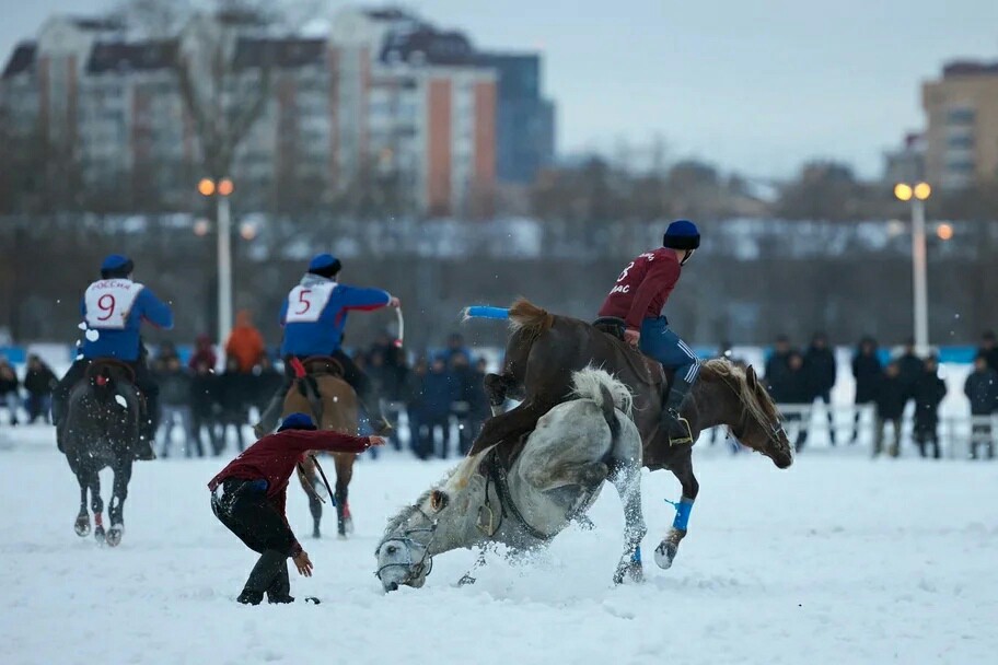 Zhivoderstvo on the main hippodrome of the country. - Pain, Animals, Moscow, Show, Horses, Fear, Money, Cruelty, Longpost