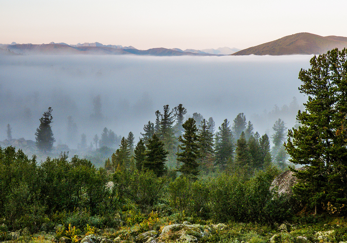 Case in September - My, Ergaki, Travels, Siberia, Landscape, Longpost, Krasnoyarsk region, The photo, Autumn, The mountains