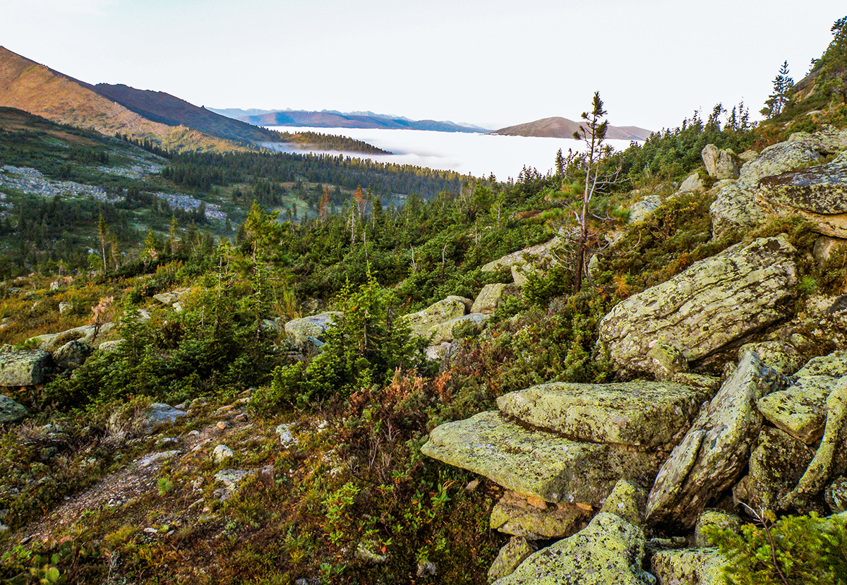 Case in September - My, Ergaki, Travels, Siberia, Landscape, Longpost, Krasnoyarsk region, The photo, Autumn, The mountains