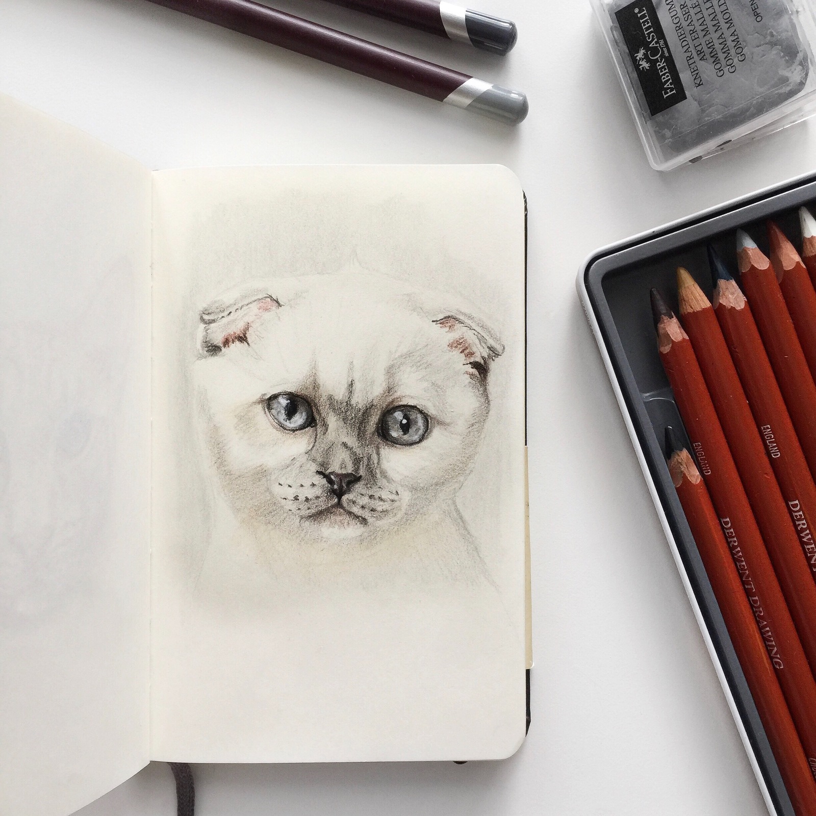 Cats - My, cat, Kittens, Art, Colour pencils, Longpost, Animals, Portrait, Animalistics, Drawing