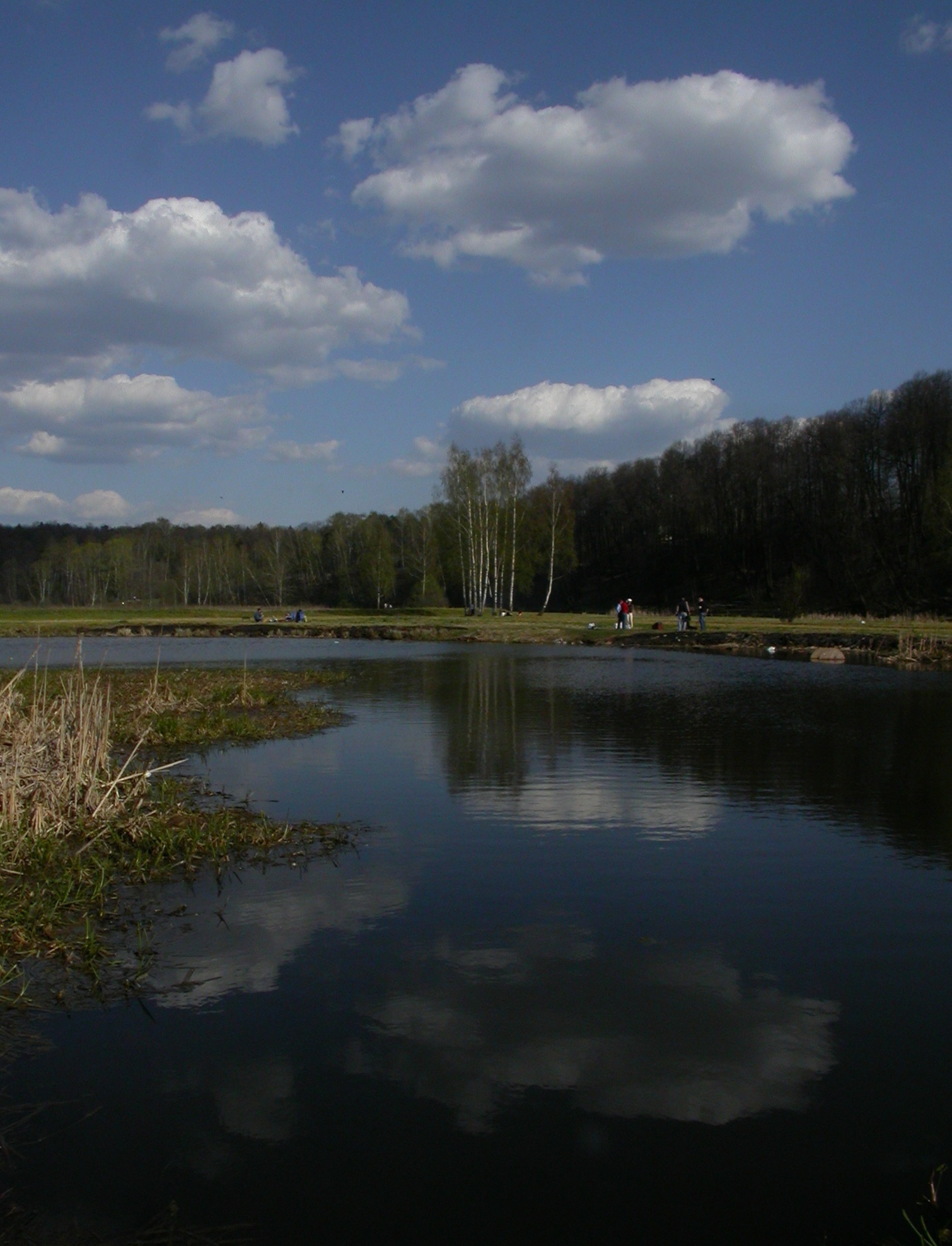 Клязьма в черте г. Королёва - Моё, Клязьма, Пейзаж, Красота, Река, Живописно, Фотография, Природа, Длиннопост, Город Королев