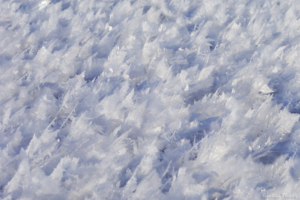 Winter flowers of Baikal. - My, Baikal, Baikalsk, The photo, Photographer, Nature, Landscape, Winter, Irkutsk, Longpost