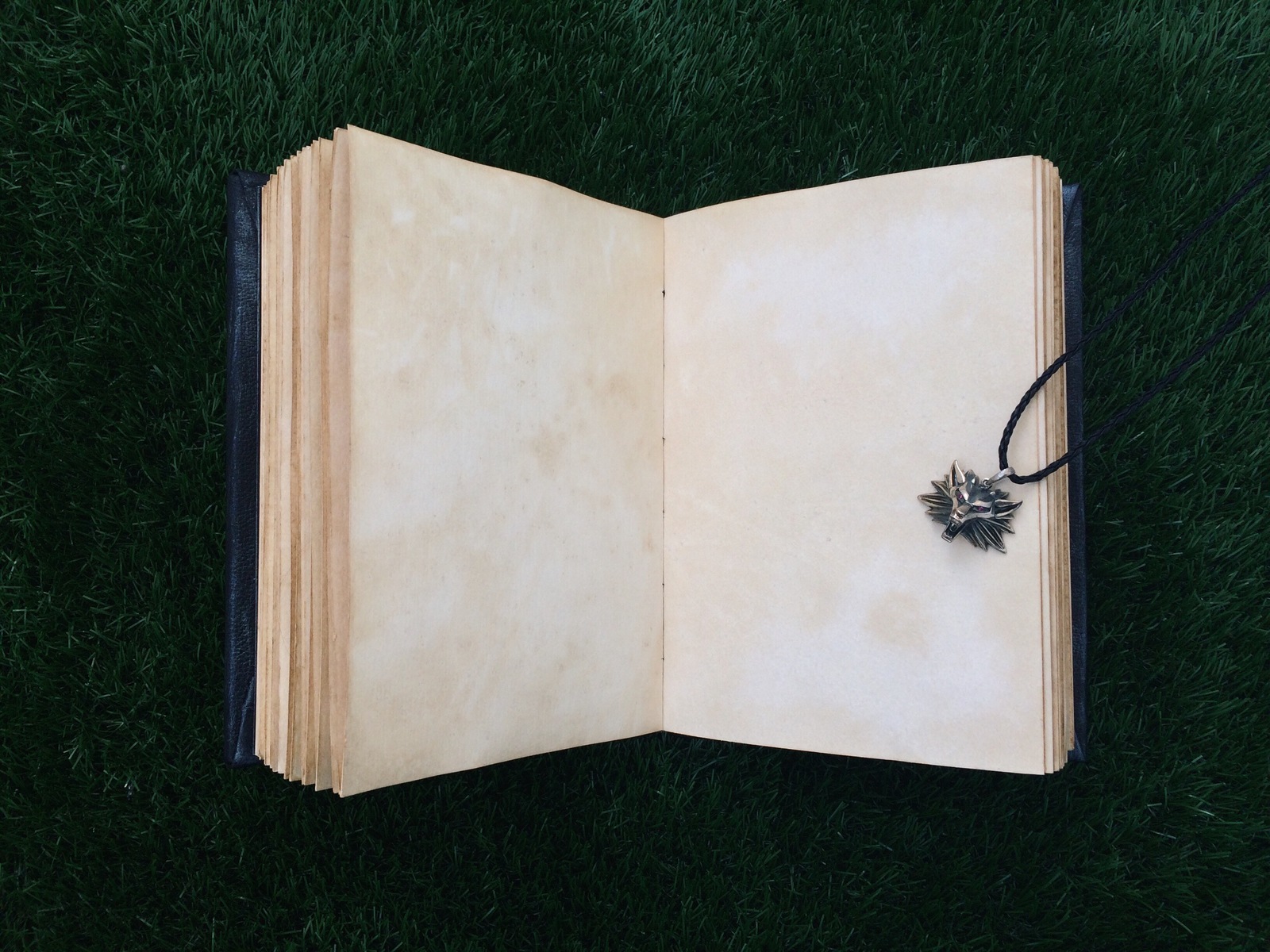 Diary of the Witcher universe - My, Needlemen, Needlework with process, Witcher, Wolf School, Longpost, Diary, Needlework