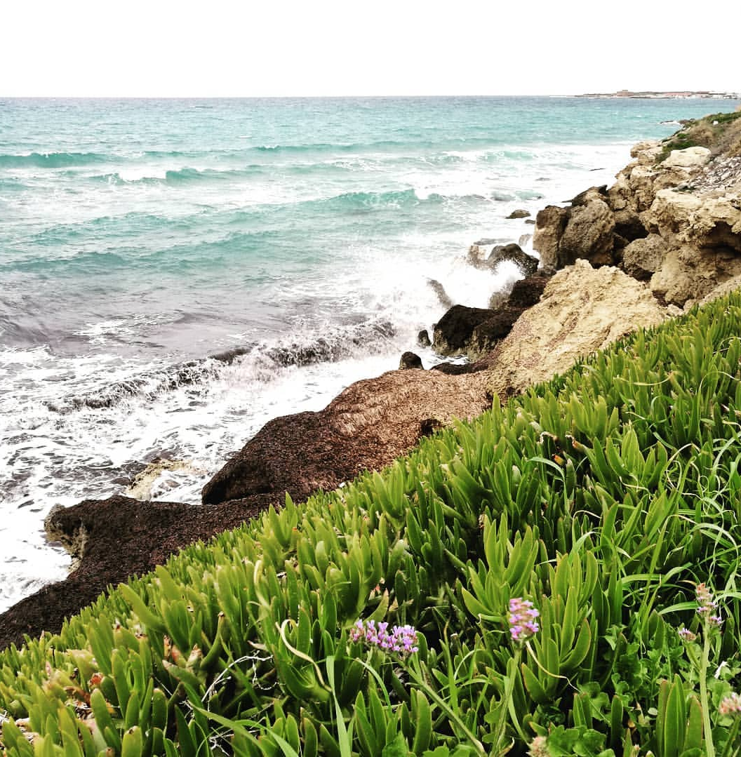 Beautiful Cyprus - My, Cyprus, Pathos, Nature, Landscape, Sea, Travels