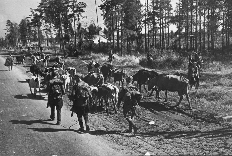 Великая Отечественная Война 1941-1945 № 95 - Великая Отечественная война, Чтобы помнили, Военный корреспондент, Тарасевич Всеволод Сергеевич, Длиннопост