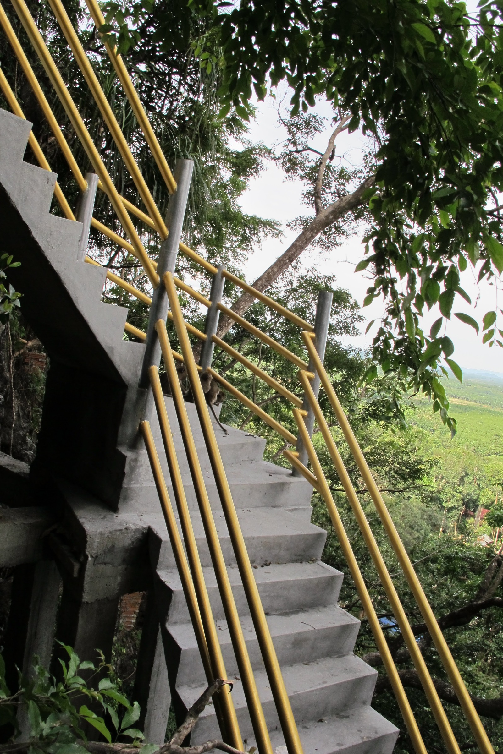 Tiger Cave temple or 1234 steps to heaven - My, Thailand, Krabi, Longpost