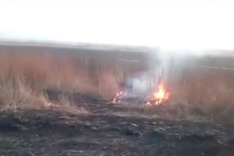 A resident of Primorye caught a Chinese man setting fire to fields - Primorsky Krai, Pyro, Иностранцы, Field, Chinese, Danger, Video, Longpost, Vertical video