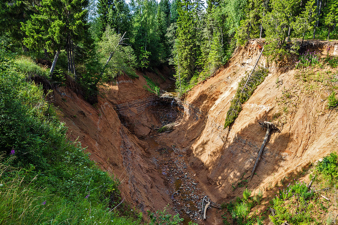 Journey to the Basurman region. - My, Bike trip, Perm Territory, Travels, The photo, , , Longpost