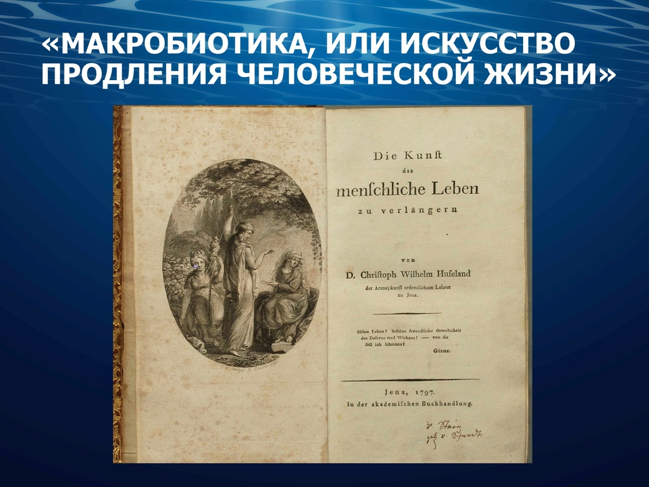 Искусство продления жизни. Искусство продления жизни макробиотика. Гуфеланд макробиотика. Искусство продления жизни презентация. Теории продления жизни.