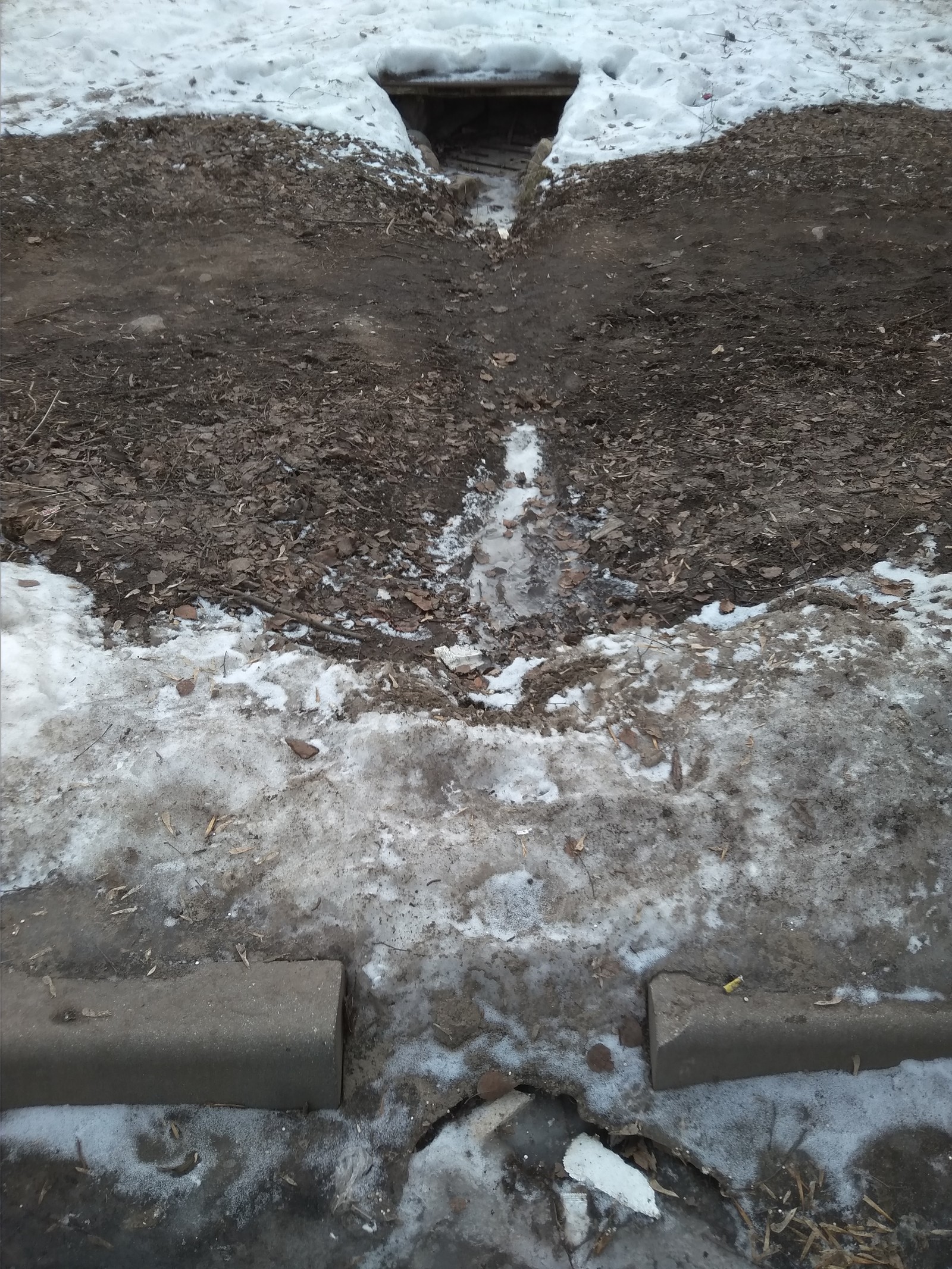 Водосток во дворе | Пикабу