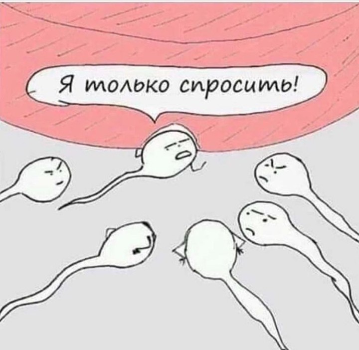 Well, not on record everything)) - A life, Sperm