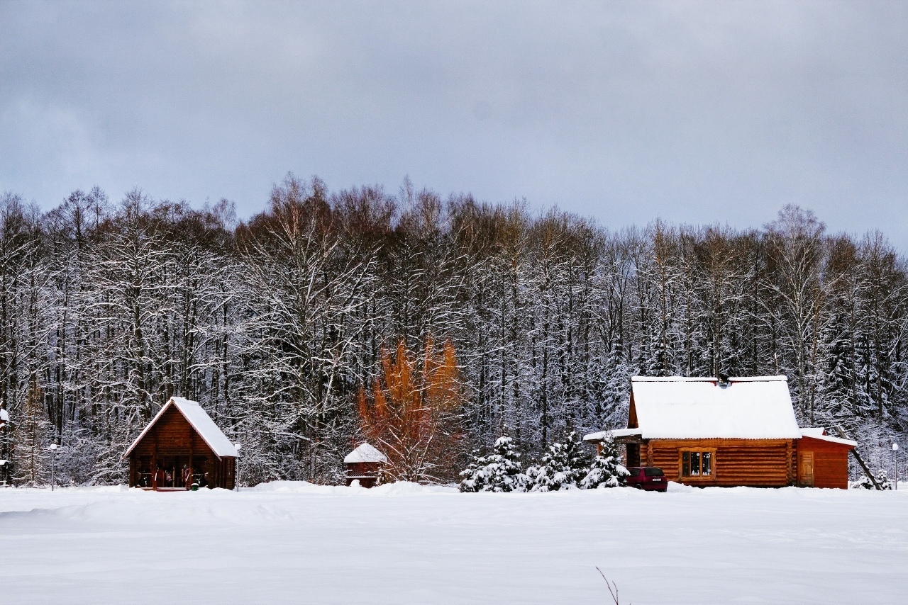 Forests and roads of Belarus. - My, Forest, Road, Winter, Landscape, Republic of Belarus, Longpost