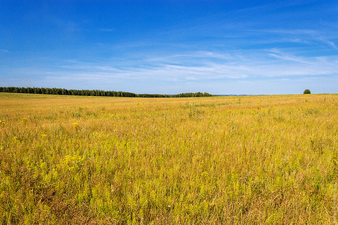 Journey to the Basurman region. - My, Bike trip, Udmurtia, Travels, Coat of arms, The photo, Votkinsk, Longpost