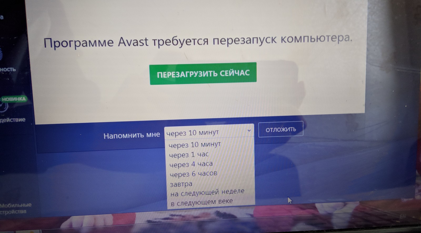 Юмор от Avast - Аваст, Антивирус, Юмор