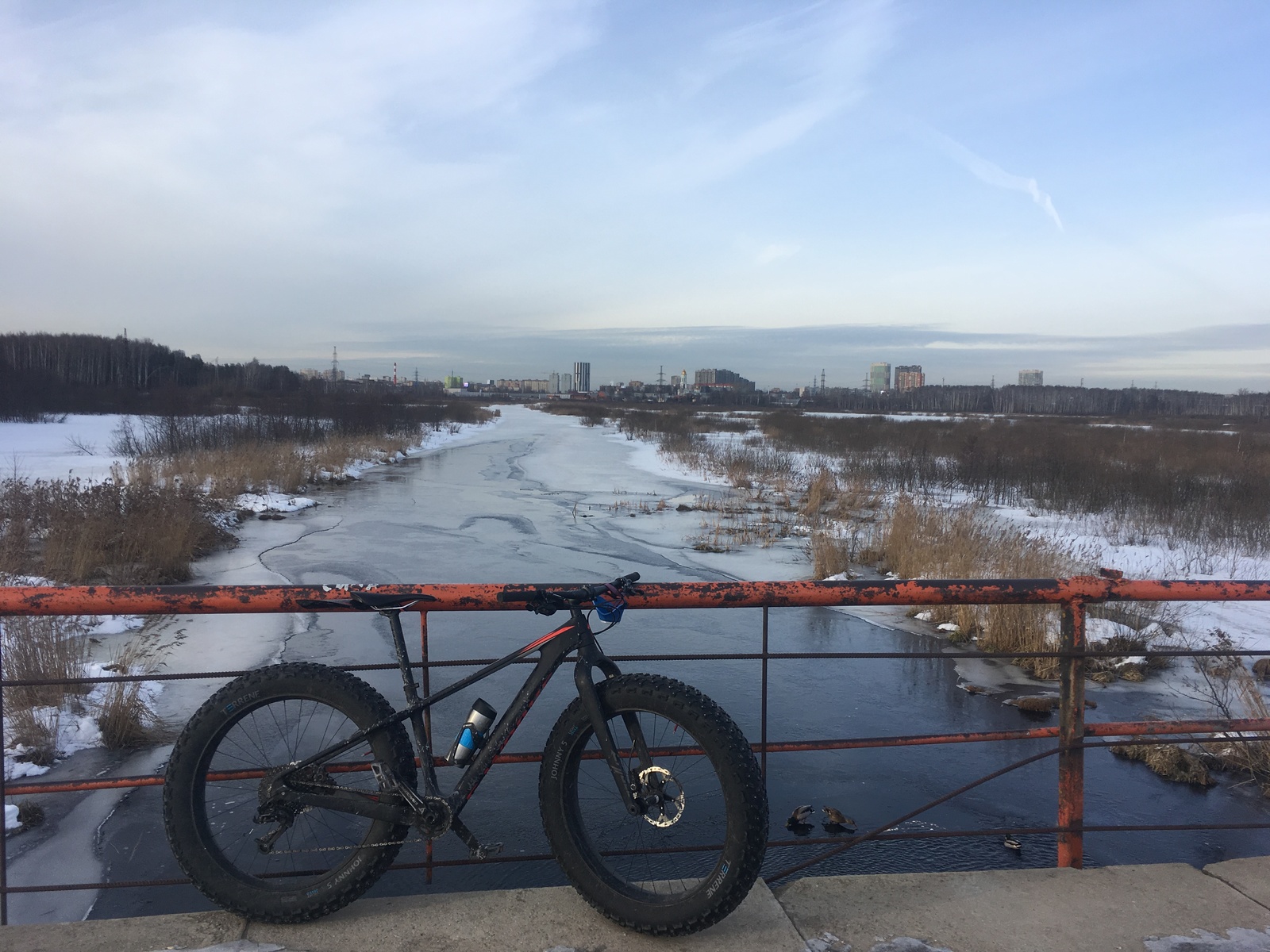 Feed the ducks. Winter go. - My, A bike, Duck, PVD, Longpost