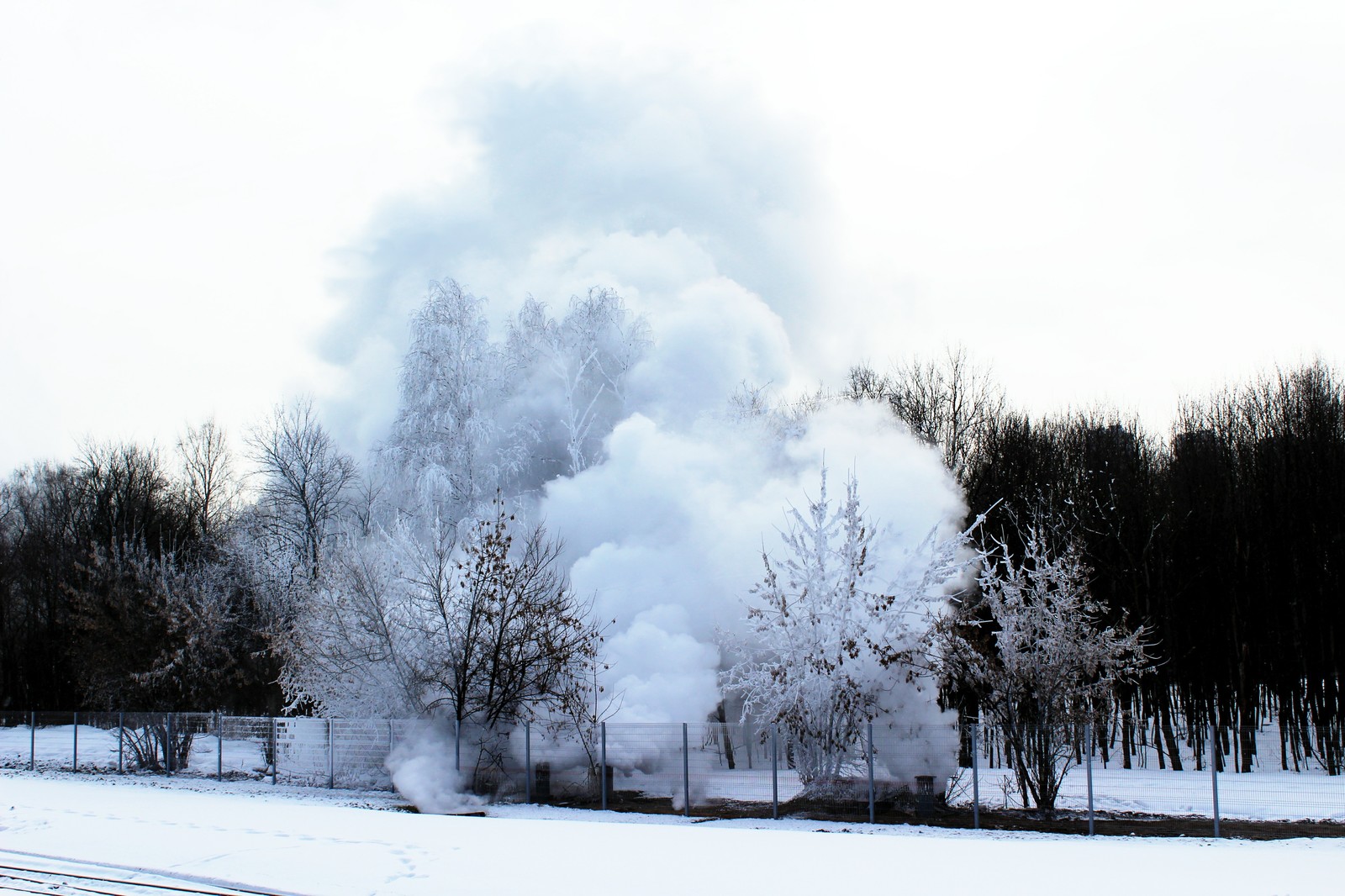 Art. Belokamennaya - My, MCC, Steam, Beginning photographer, Canon EOS 100d