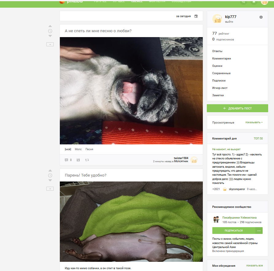 Finally, I have a match in the feed - Coincidence, Dog, Screenshot, Match on Peekaboo