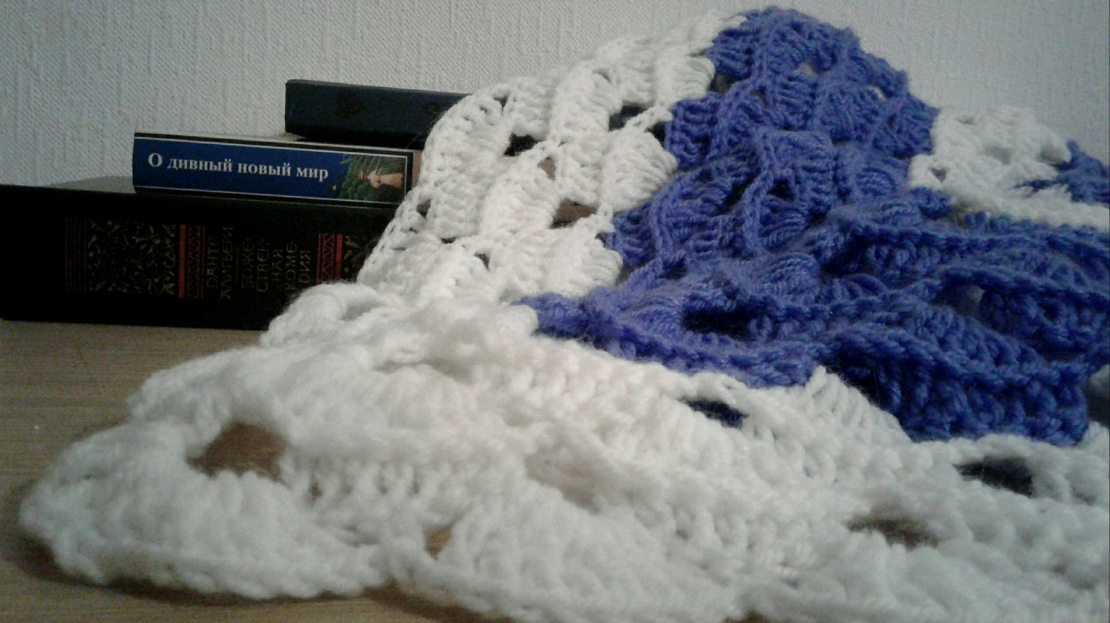 Who needs a romantic bactus shawl for reading? - My, Knitting, Needlework without process, Drawing, Scarf, Longpost