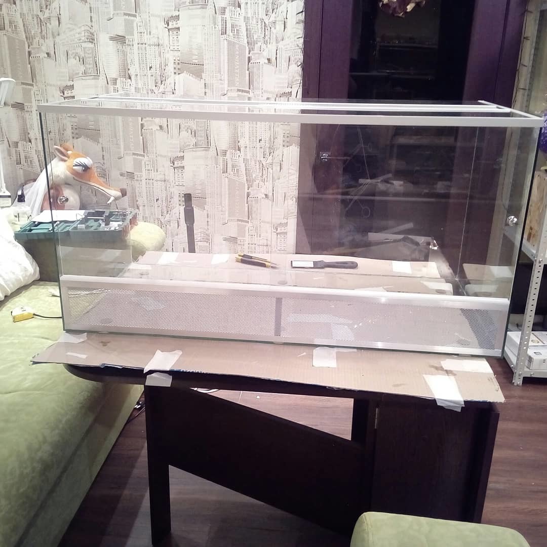 The terrarium is ready. - My, Terrarium, Terrariumistics, Straight arms, DIY terrarium, Hobby, Glass Terrarium, Longpost