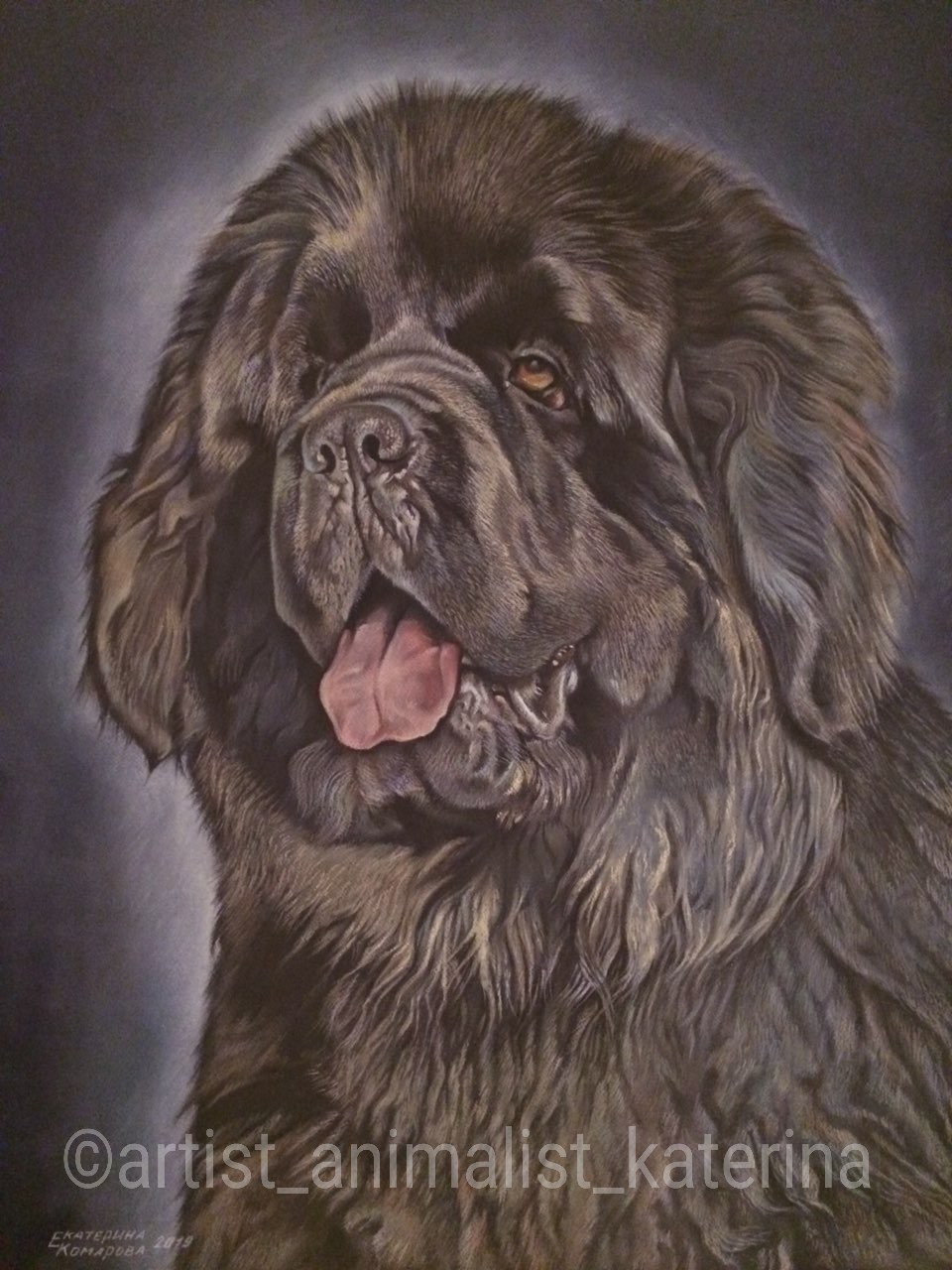 I draw portraits of dogs and cats with colored pencils. - My, Pencil drawing, Portrait by photo, Longpost