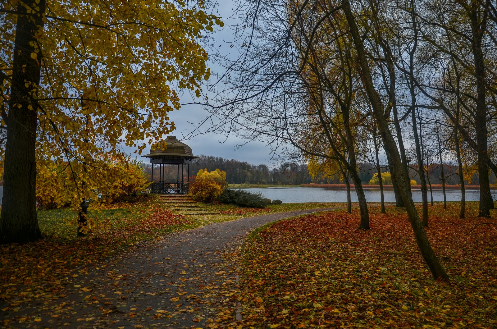 Part of Belarus - My, Republic of Belarus, Autumn, The photo, Longpost, Nesvizh