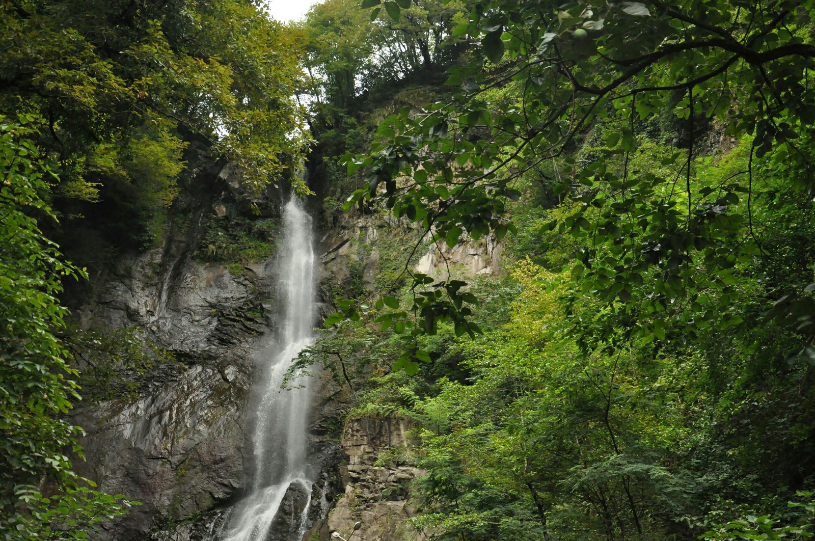 Makhuntseti waterfall in mountainous Adjara. - My, Nature, The photo