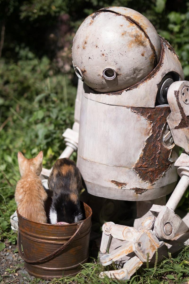 2 cats 1 bucket - Кот, Ведро ведроид, NIER Automata