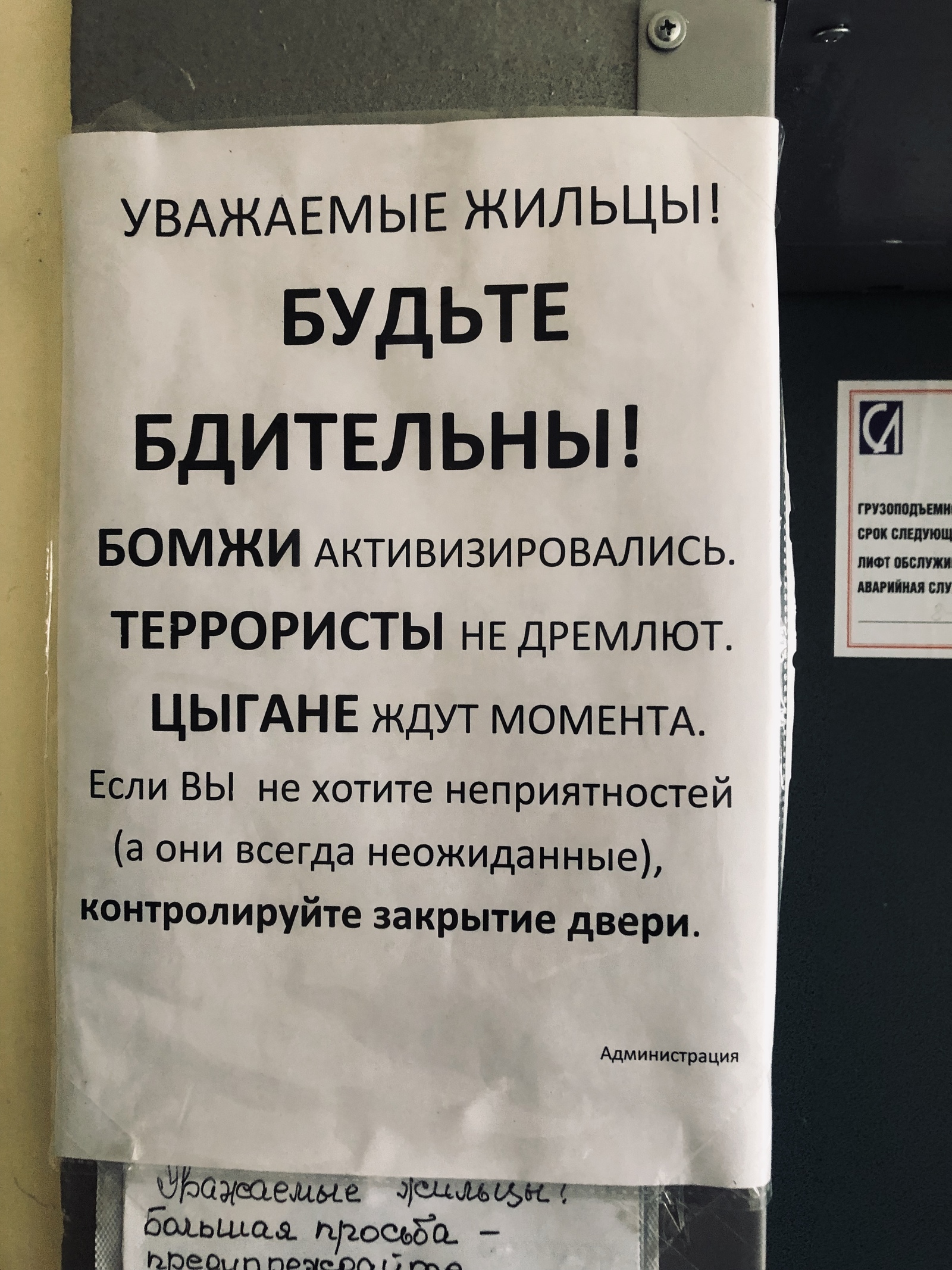 Ad in Krasnodar - My, Humor, Announcement, Krasnodar