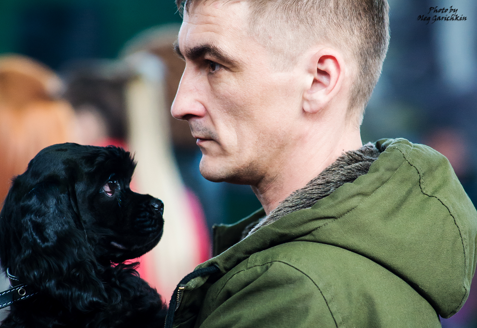 I continue to replenish the tape with reportage pictures from dog shows held in the South of Russia in 2018, enjoy watching))) - My, Dog, Dogs and people, Exhibition, Dog show, Animalistics, The photo, , Longpost