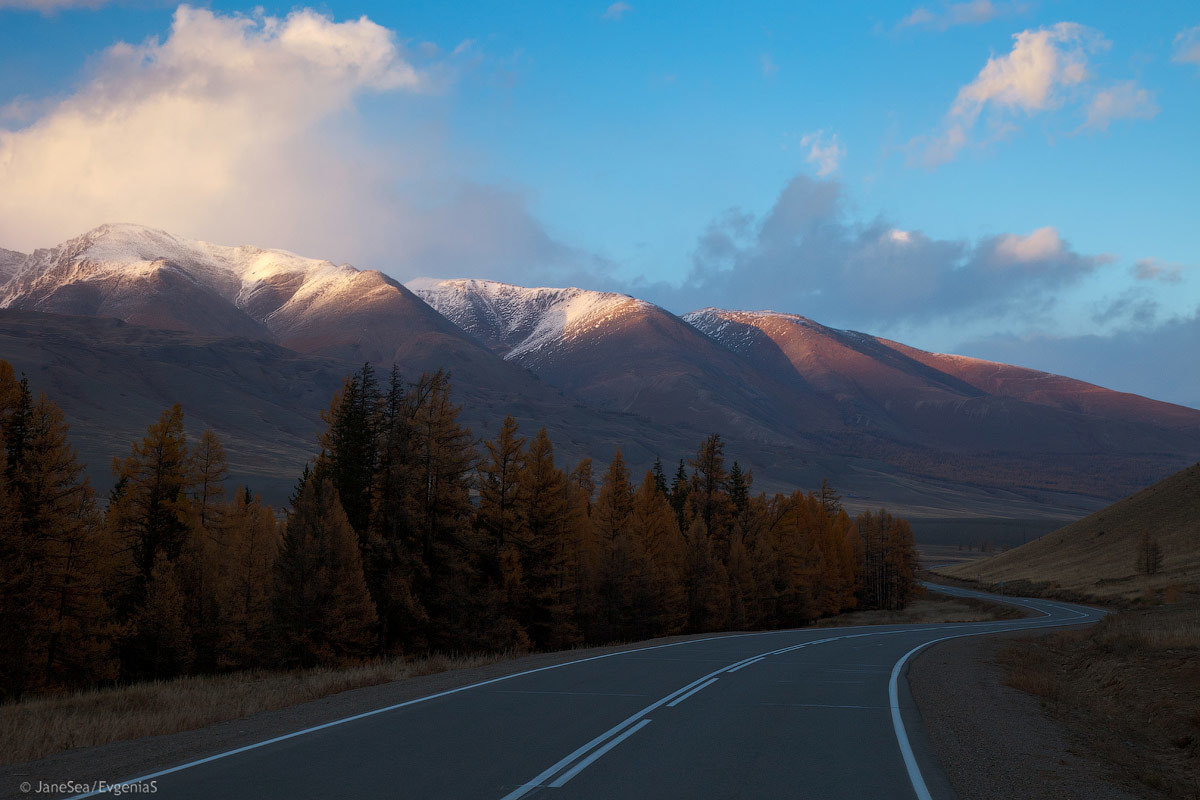 Another Planet or Altai is not for everyone. - My, Altai, Mountain Altai, Road trip, Longpost, Longtext, Russia, Travels, Altai Republic