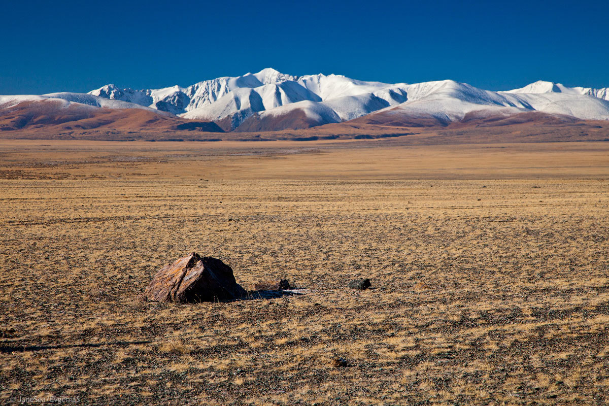 Another Planet or Altai is not for everyone. - My, Altai, Mountain Altai, Road trip, Longpost, Longtext, Russia, Travels, Altai Republic